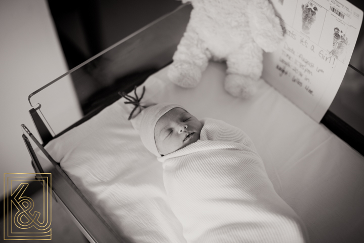 newborn hospital photo novi