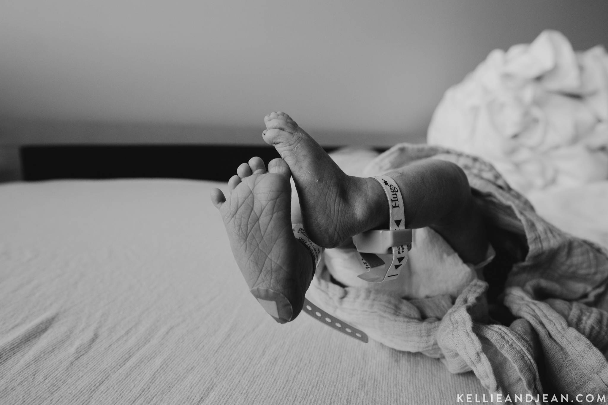 lifestyle newborn photos michigan