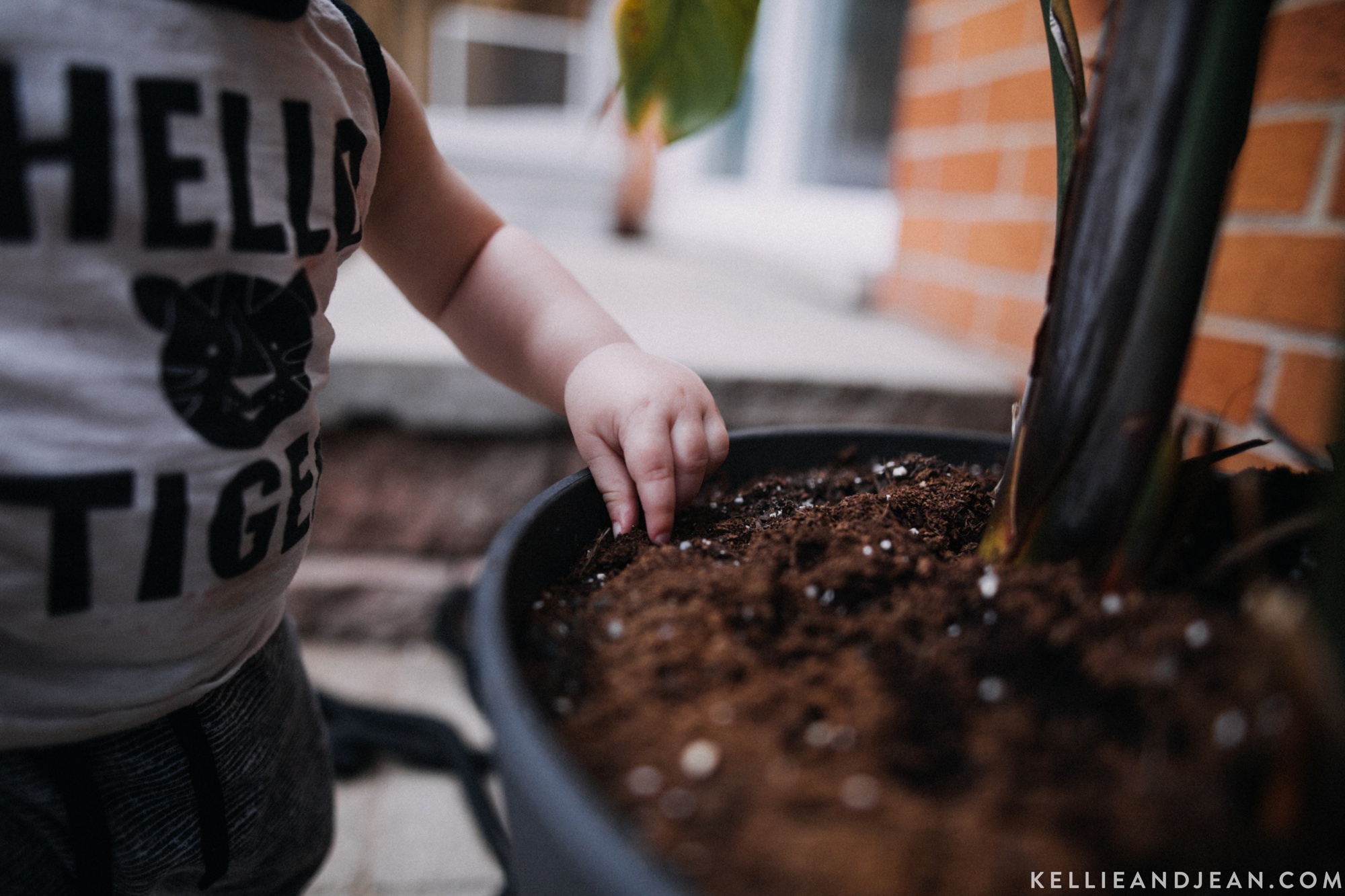 NATURAL METRO DETROIT FAMILY PHOTOGRAPHY BY KELLIE&JEAN PHOTOGRAPHY