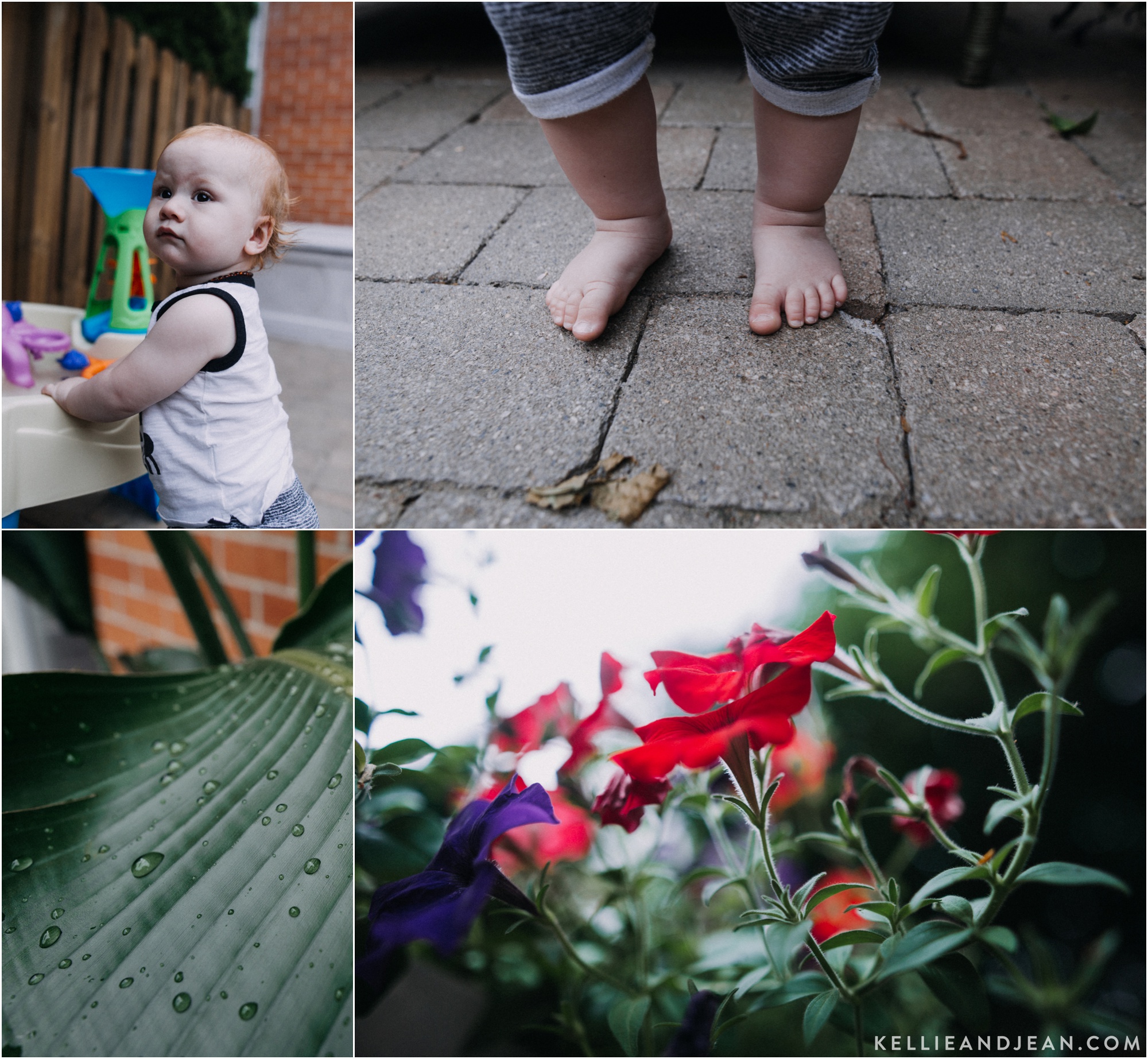 TODDLER OUTSIDE PHOTOS MICHIGAN