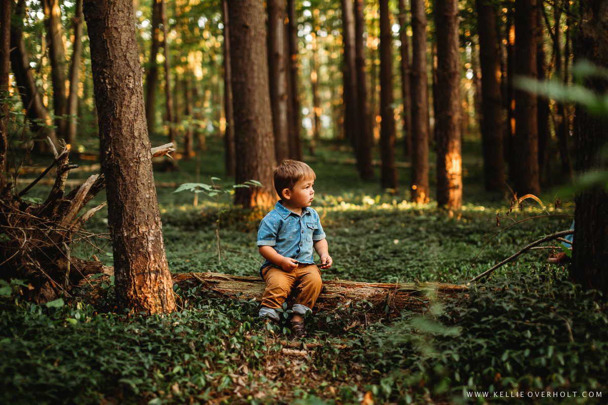 CHILD PHOTOGRAPHER MICHIGAN