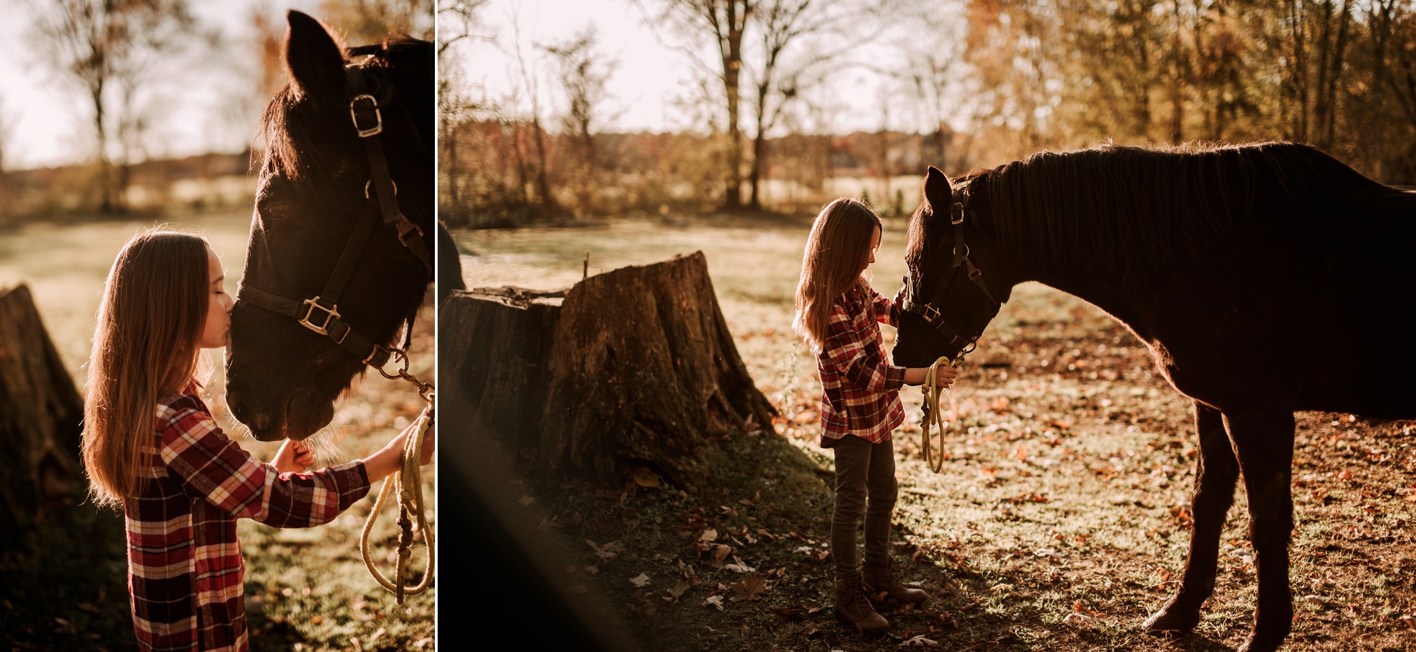 A GIRL AND HER HORSE MICHIGAN