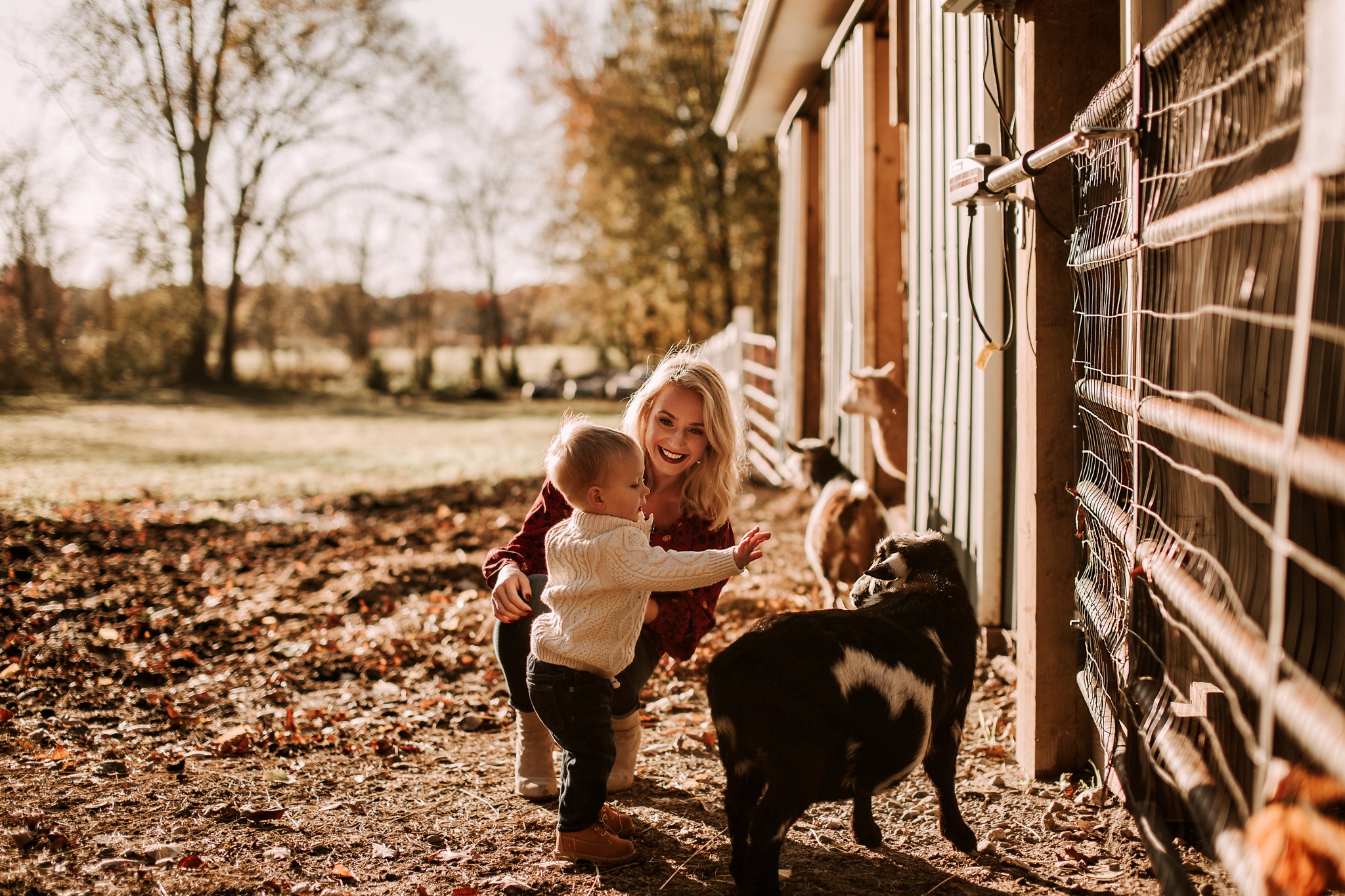 FARM FAMILY PHOTOGRAPHER