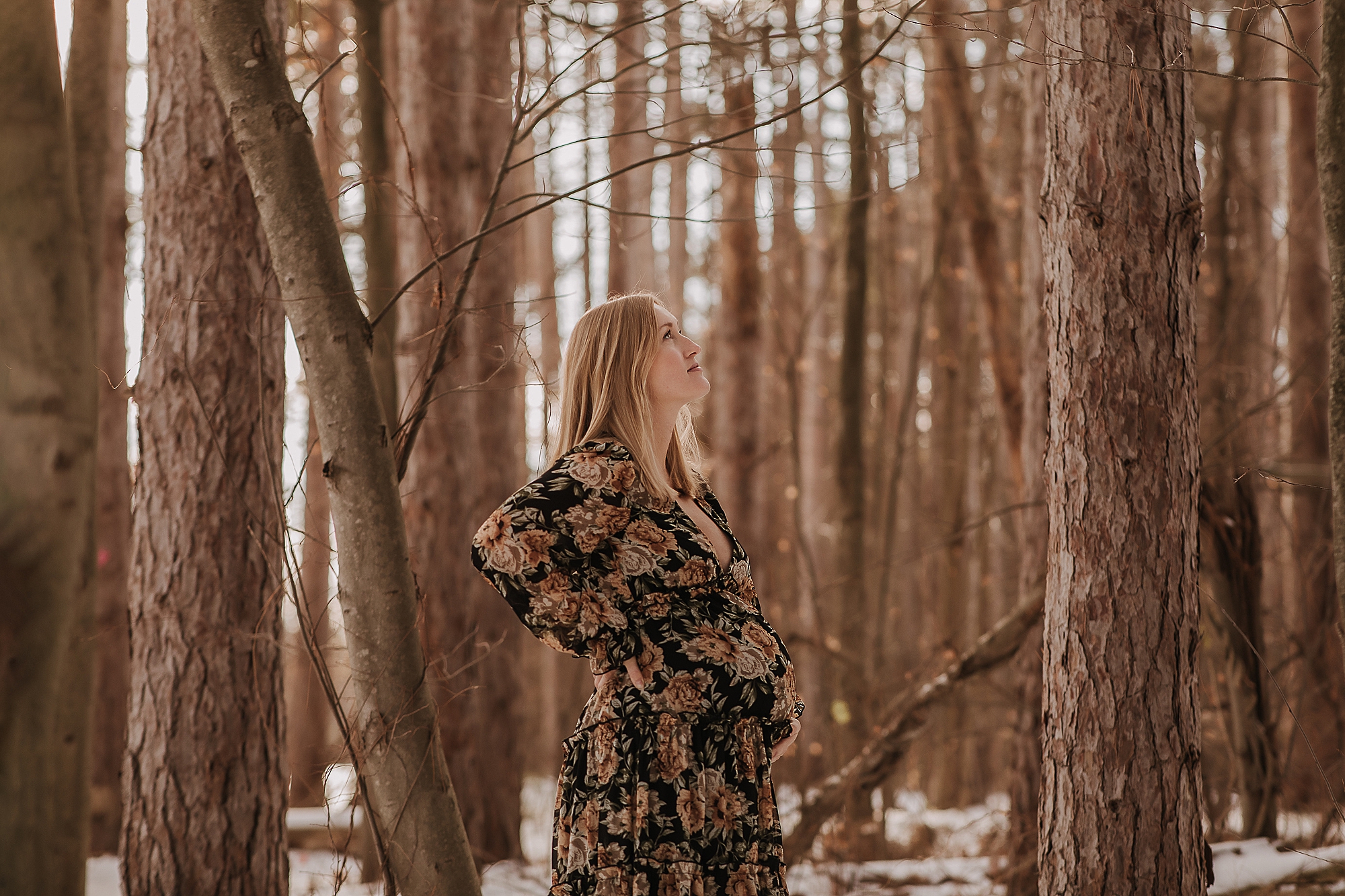 Winter Maternity Photos in Milford, MI