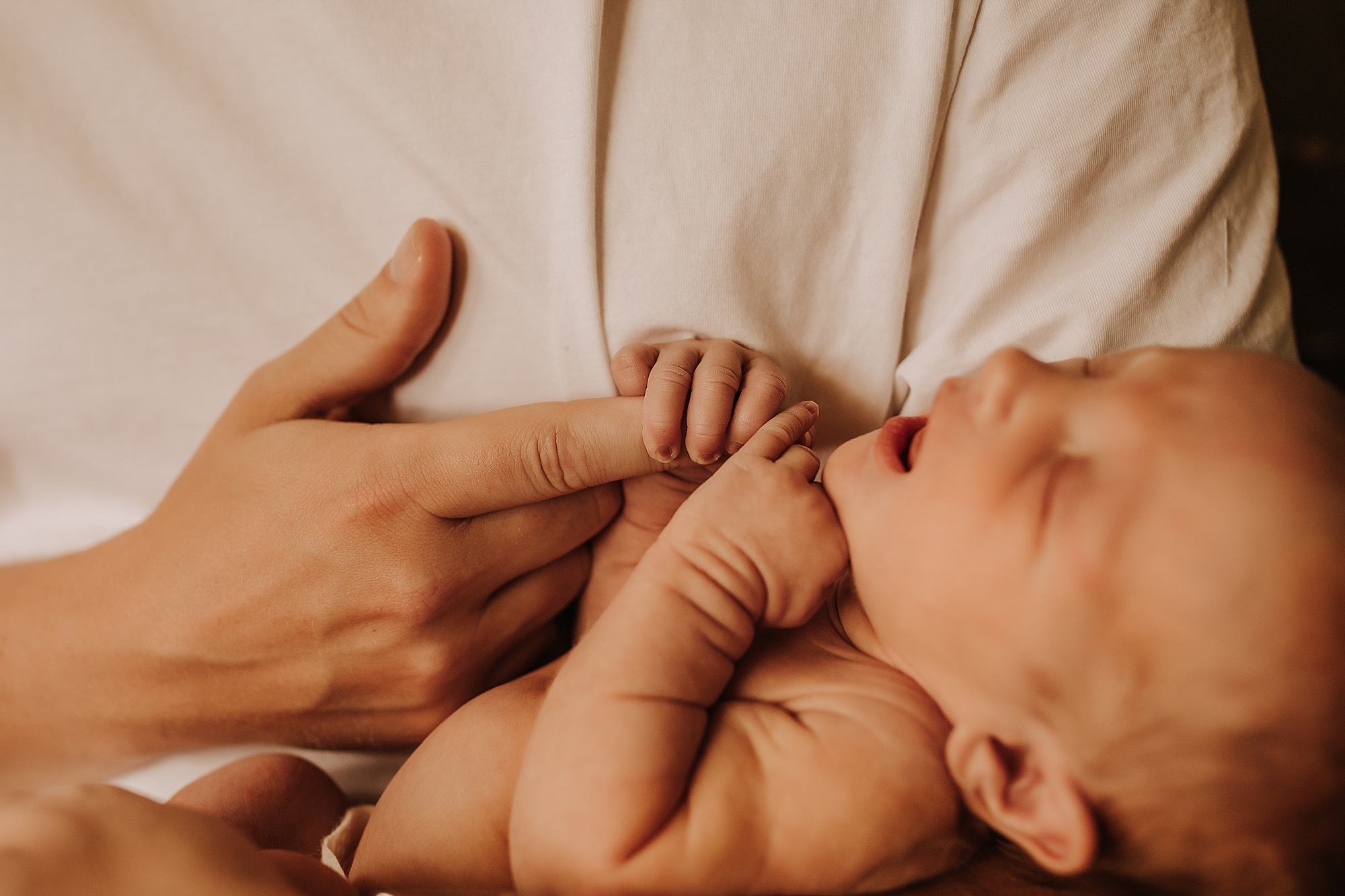 commerce township newborn photography