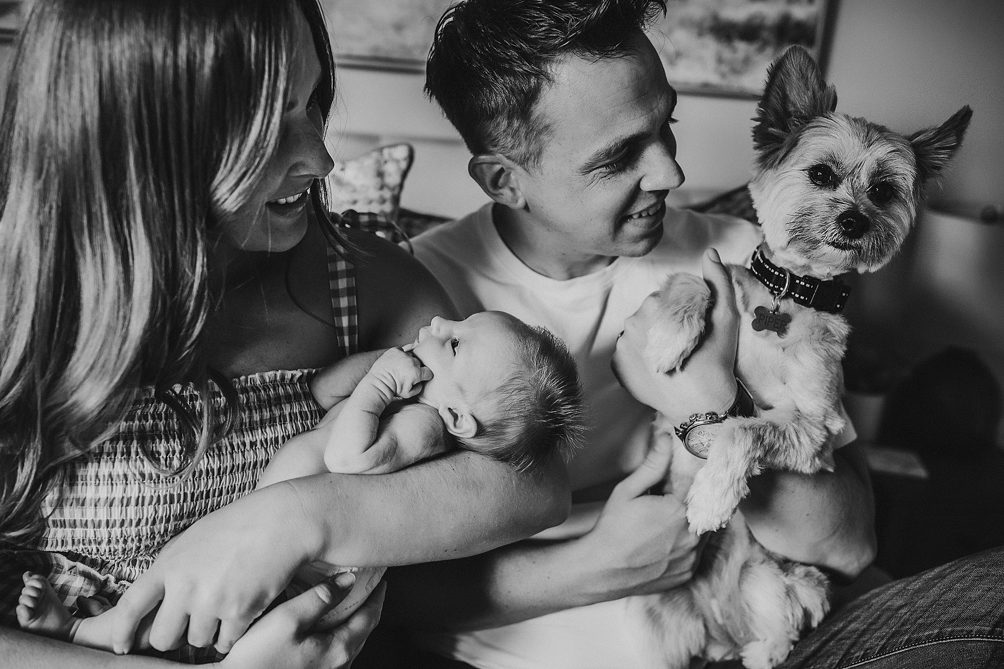 newborn photos with dog