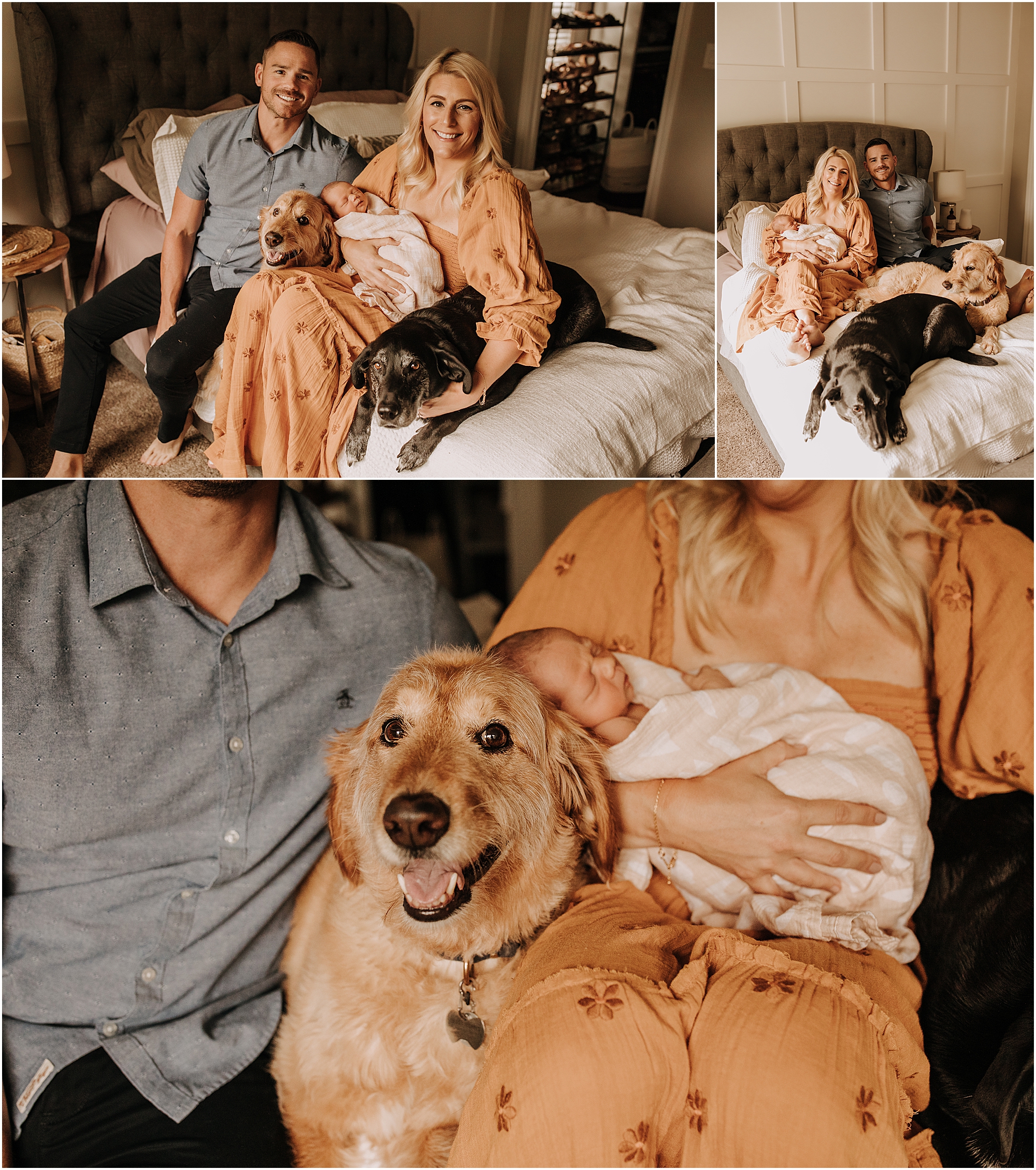 NEWBORN PHOTOGRAPHY WITH PETS