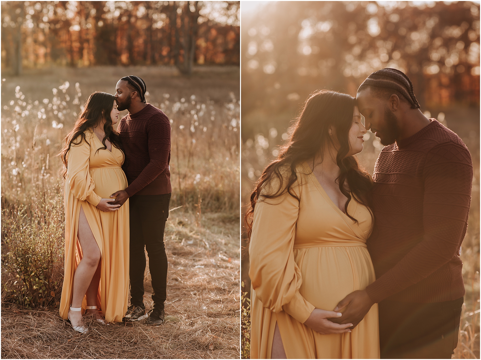 Maternity Photographer Wixom MI