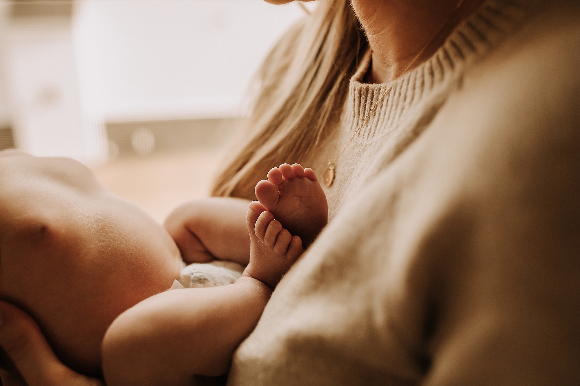 newborn pictures michigan