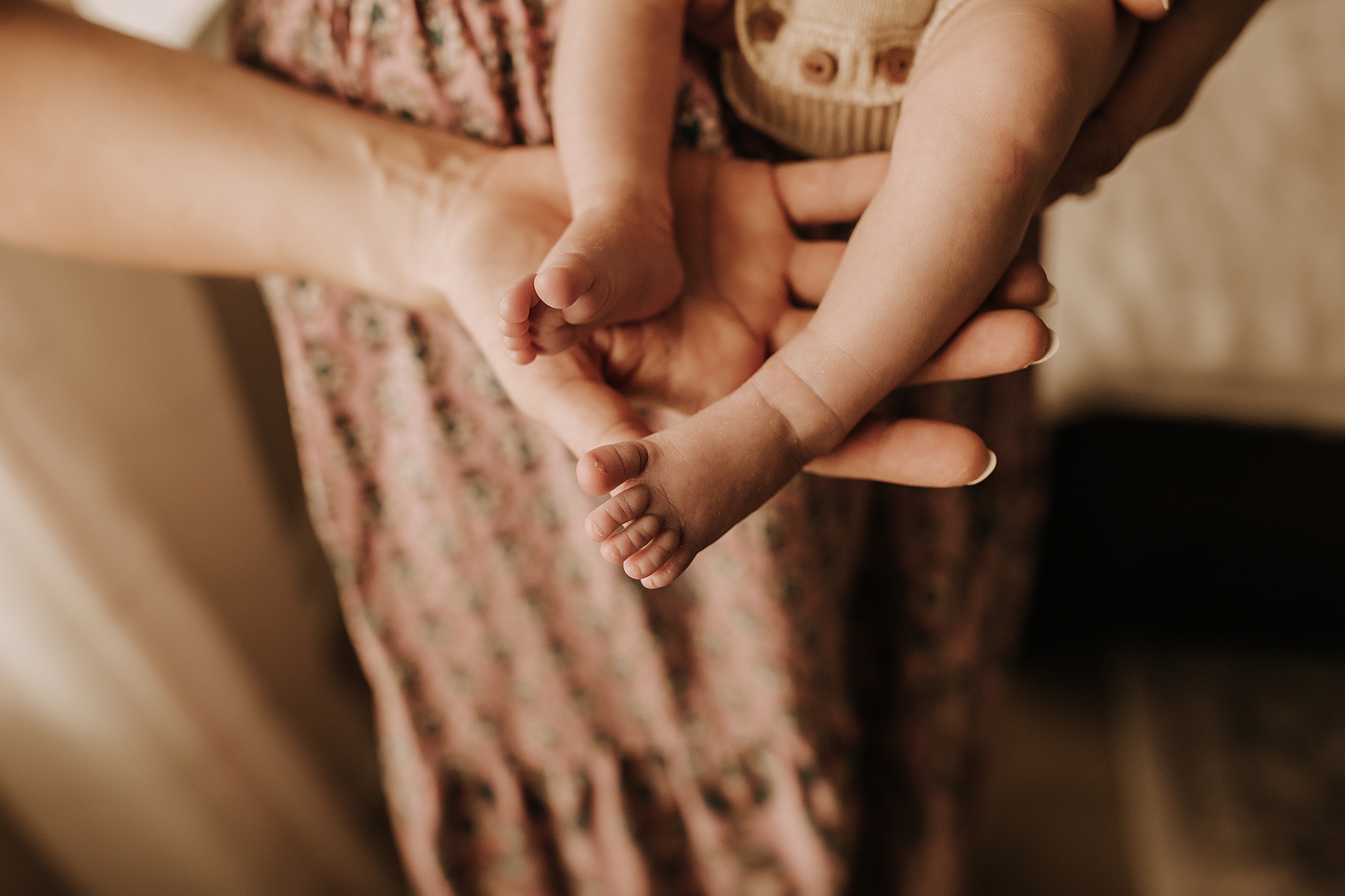 troy mi newborn photographer