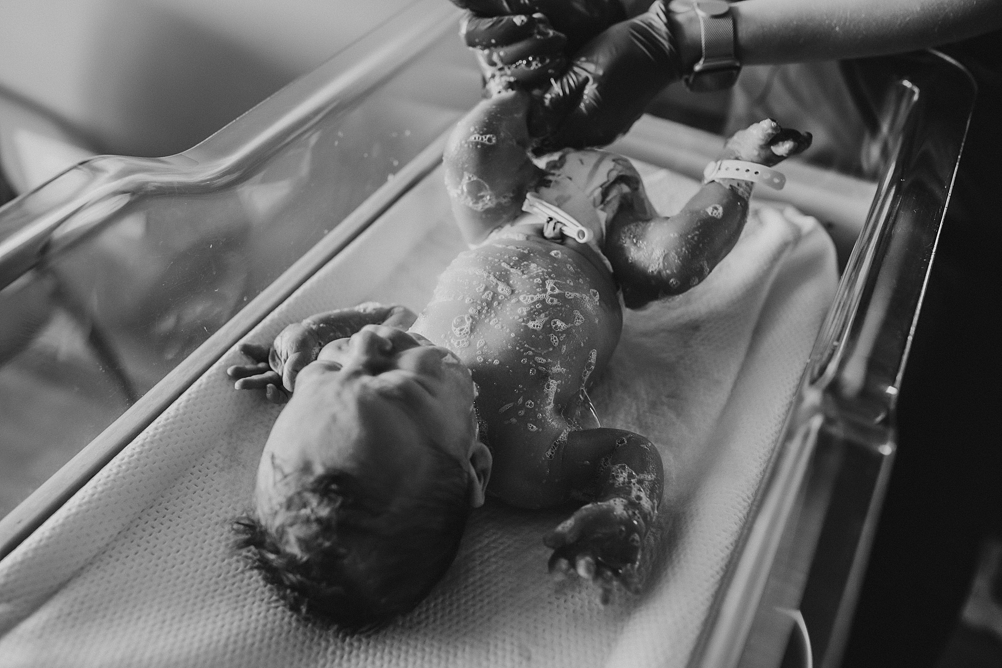 DETROIT NEWBORN PHOTOS