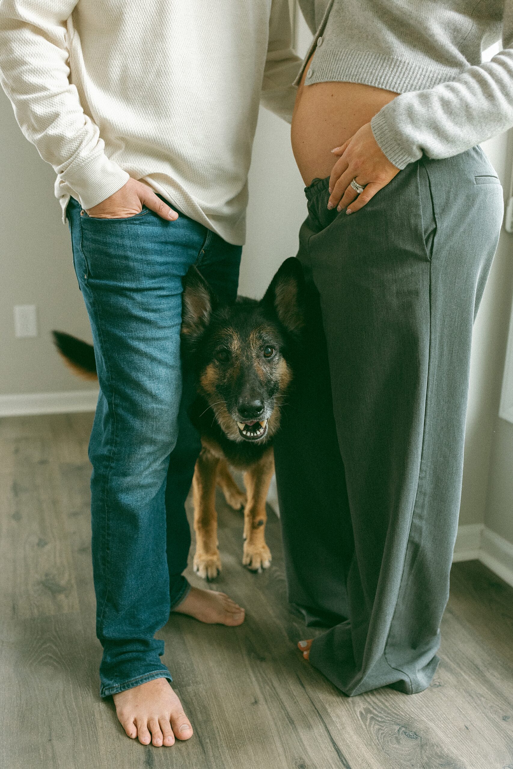 Maternity Photos with Pets Michigan