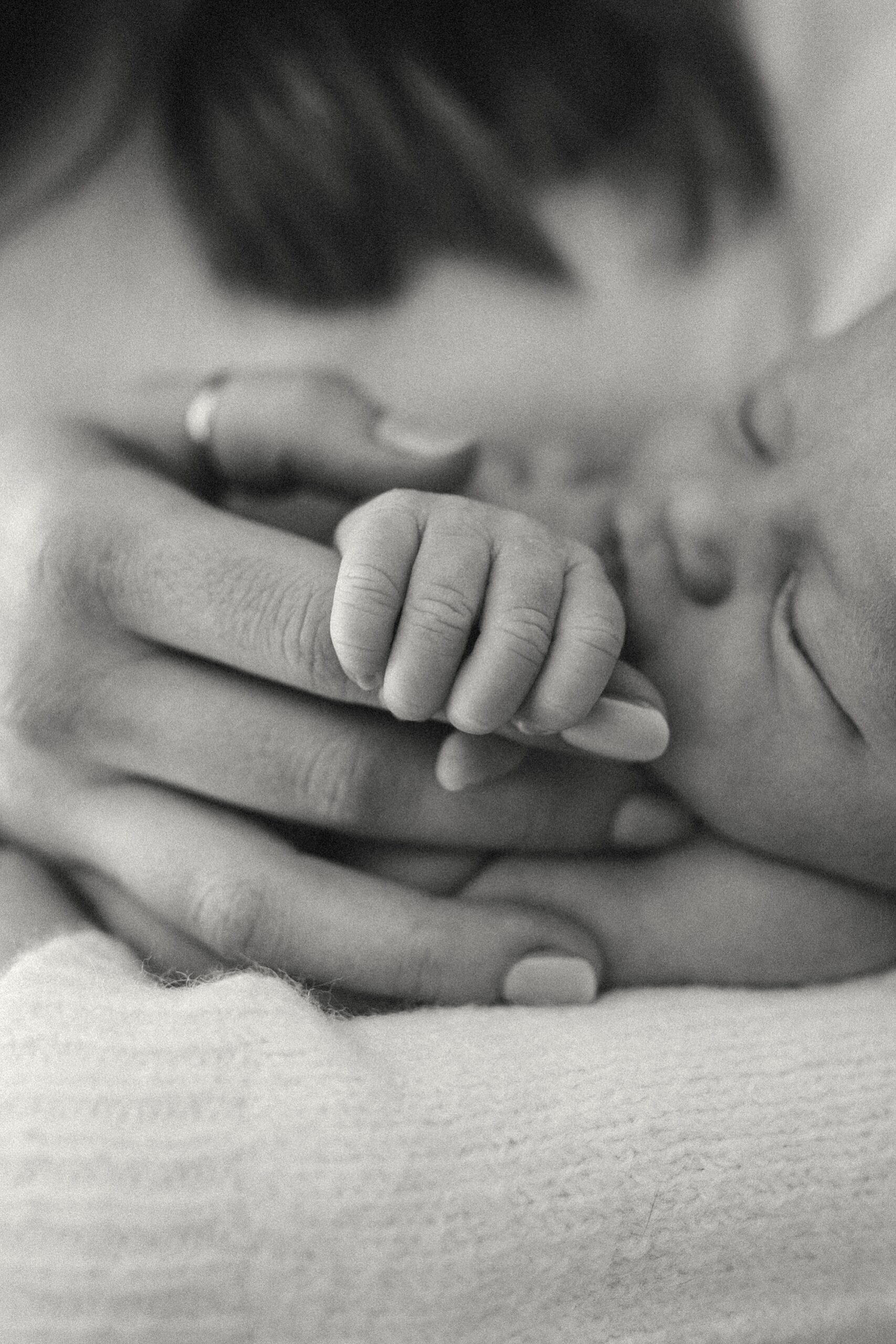 Newborn Photographer Ferndale MI