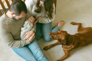 Newborn Pictures at Home Fenton MI