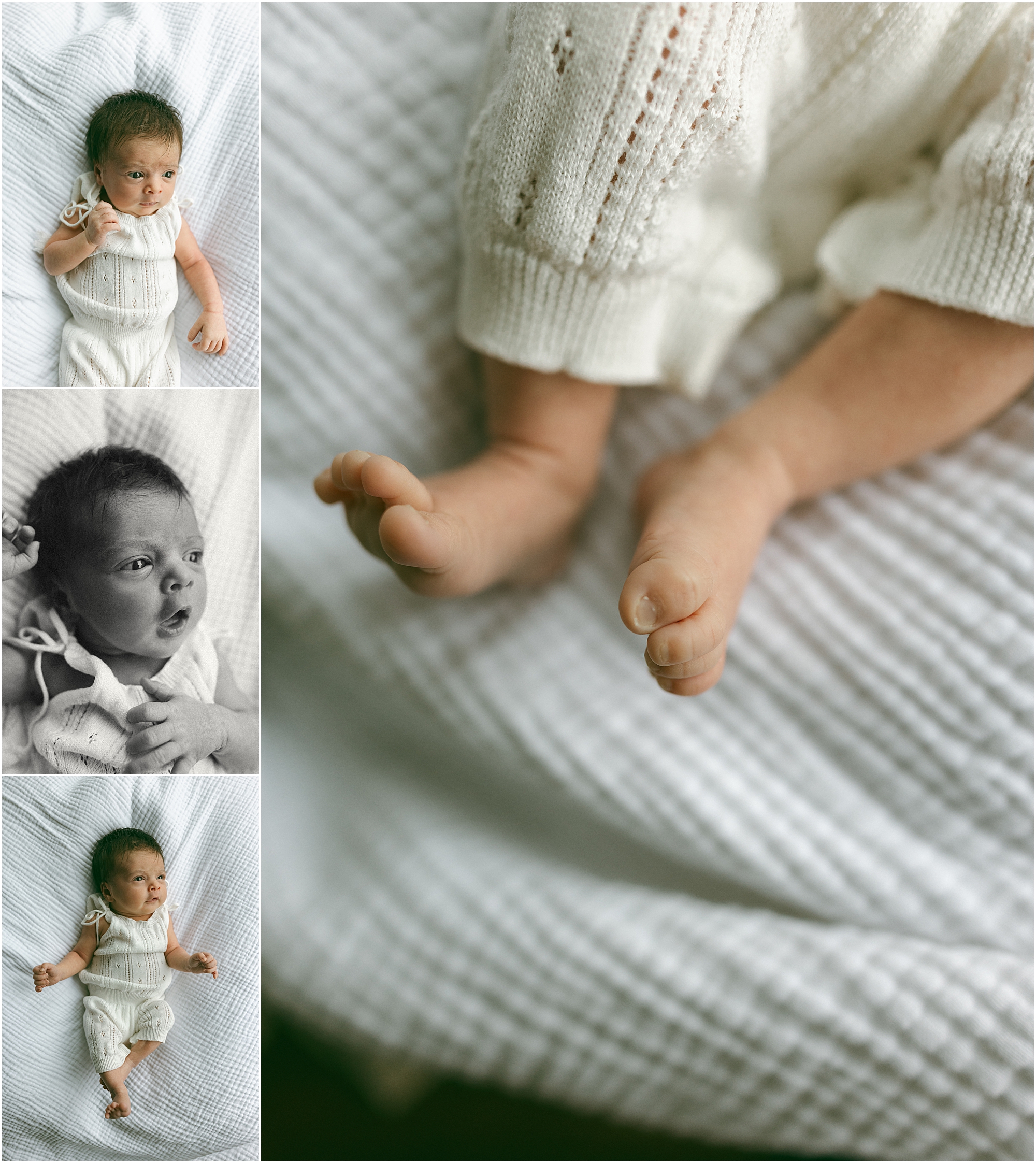Detroit Newborn Photographer