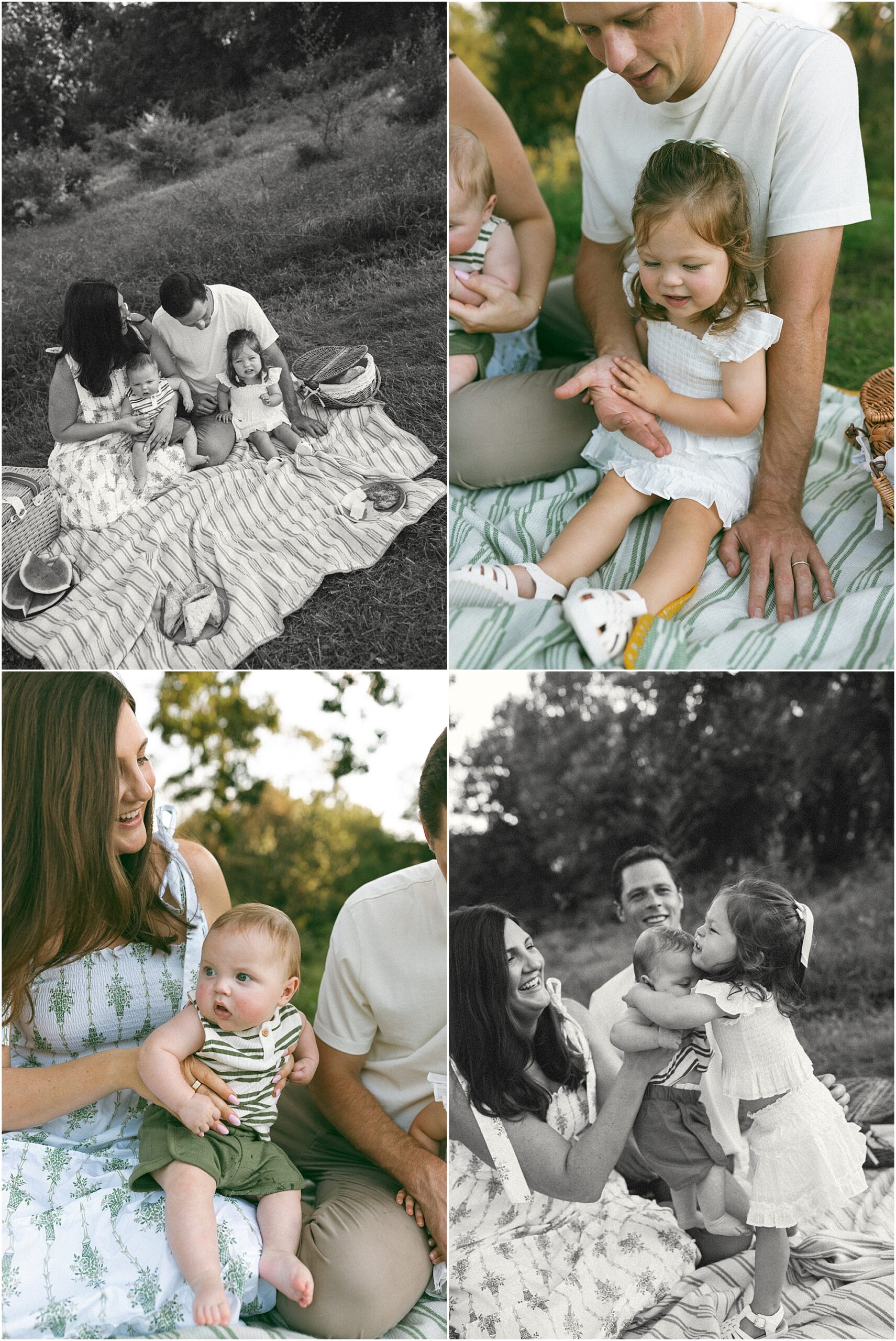Family Picnic Photoshoot in Brighton, MI