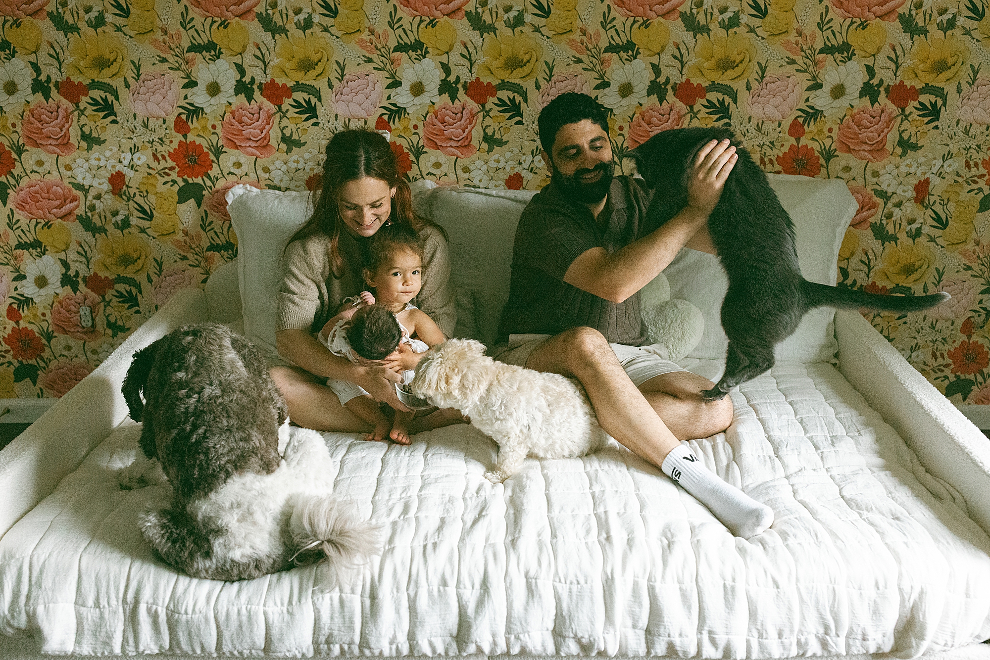 Metro Detroit Newborn Photographer