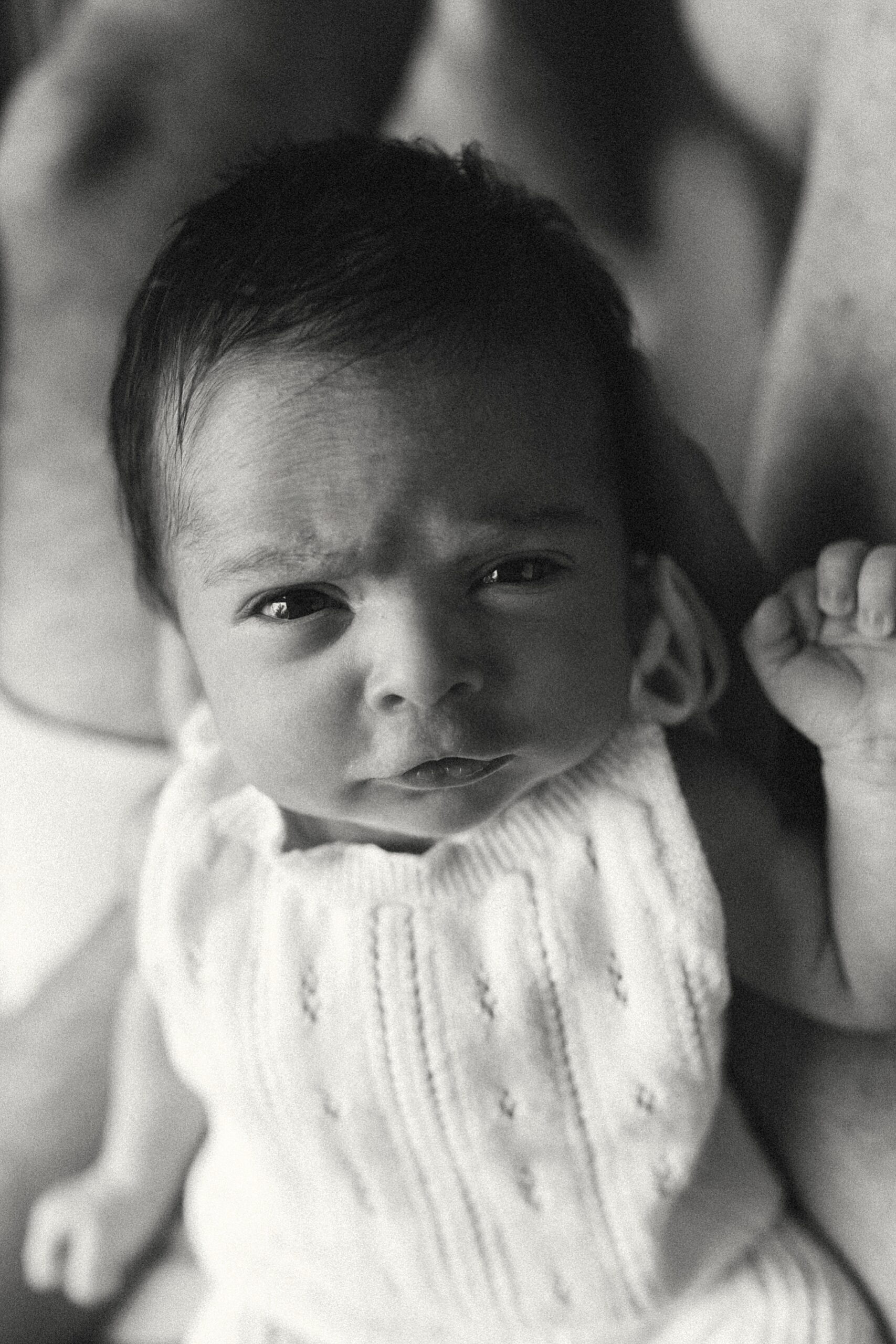 Newborn Pictures Fenton MI MI