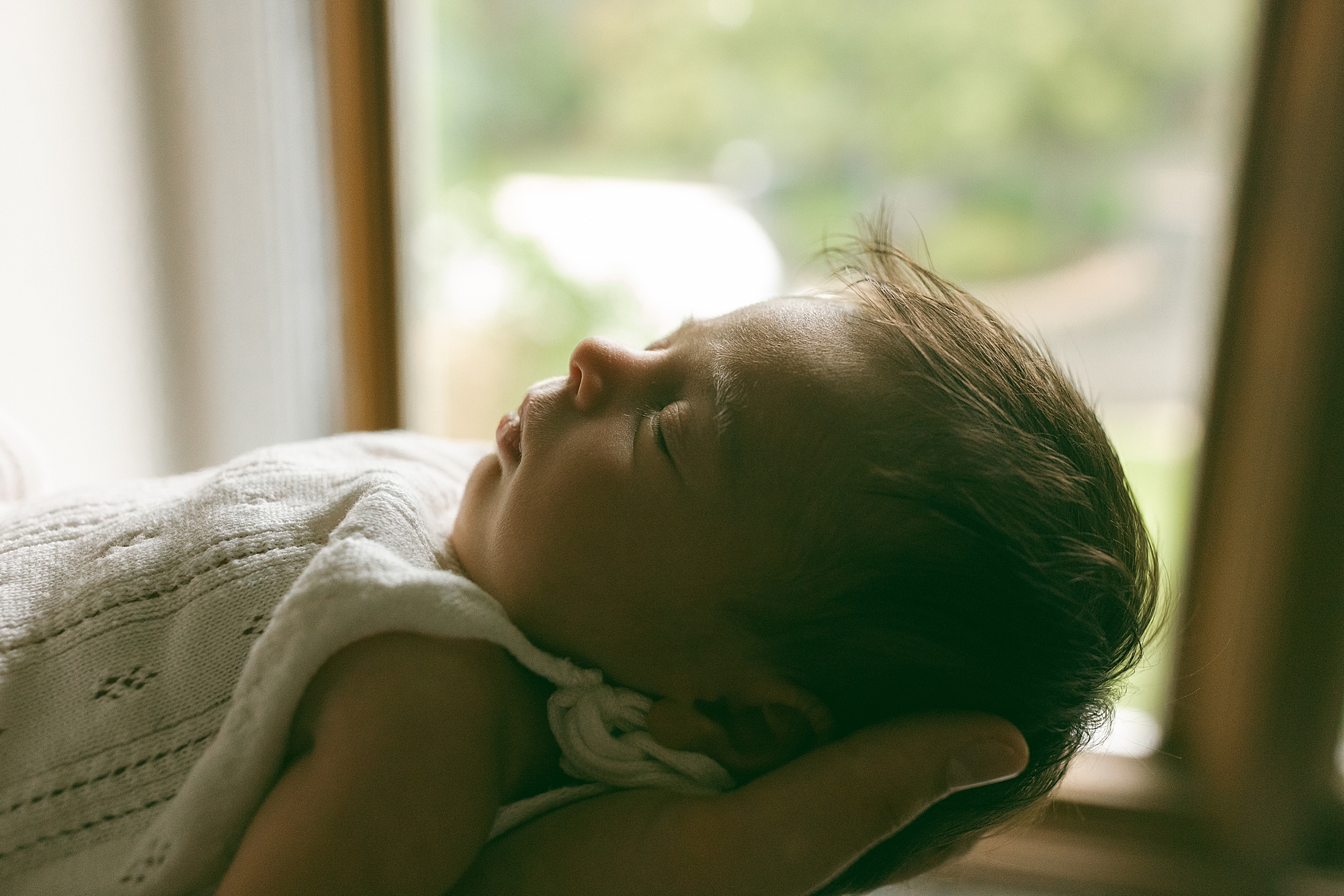 Newborn Pictures Milford MI