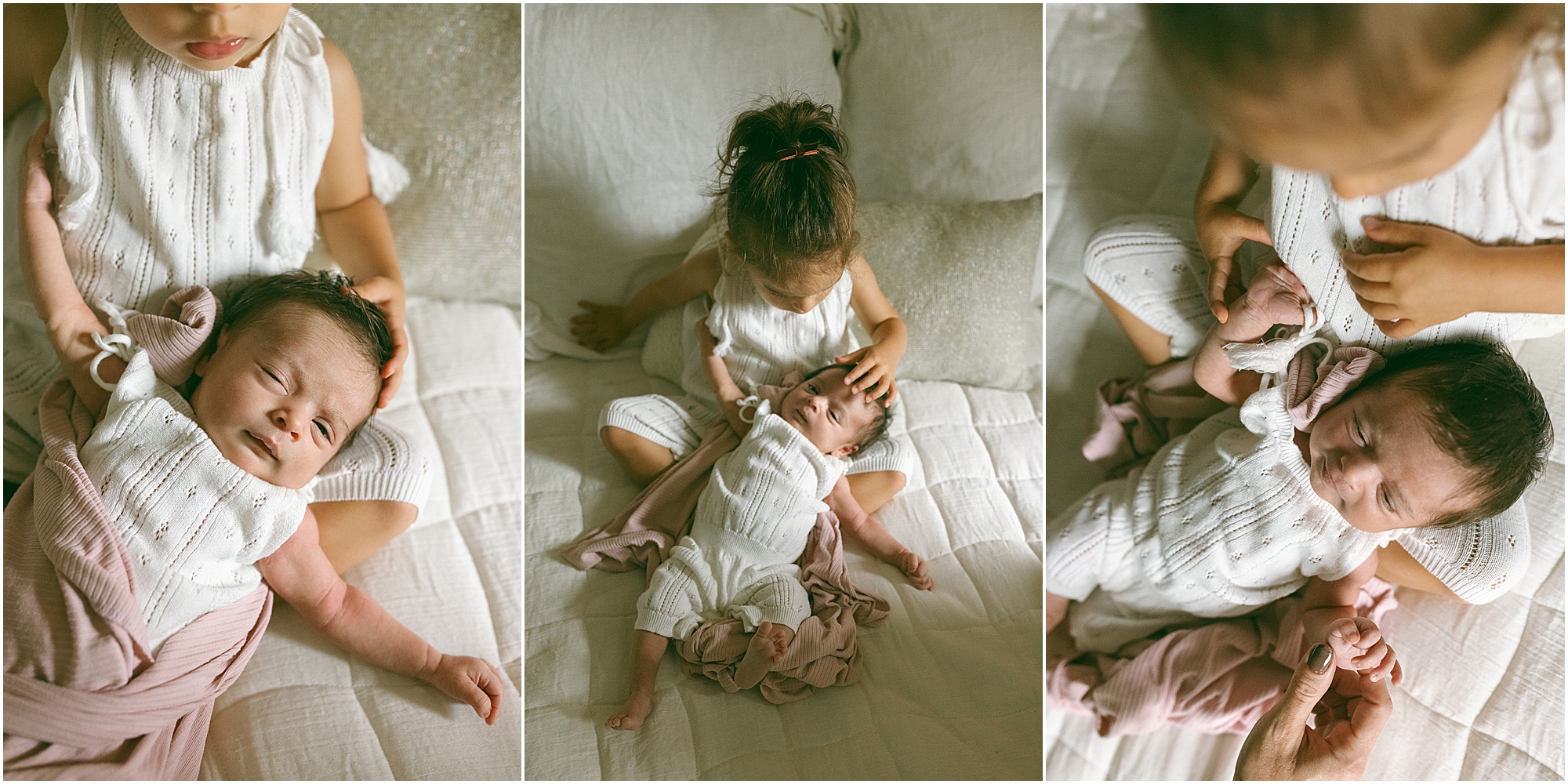 Novi MI Newborn Photographer