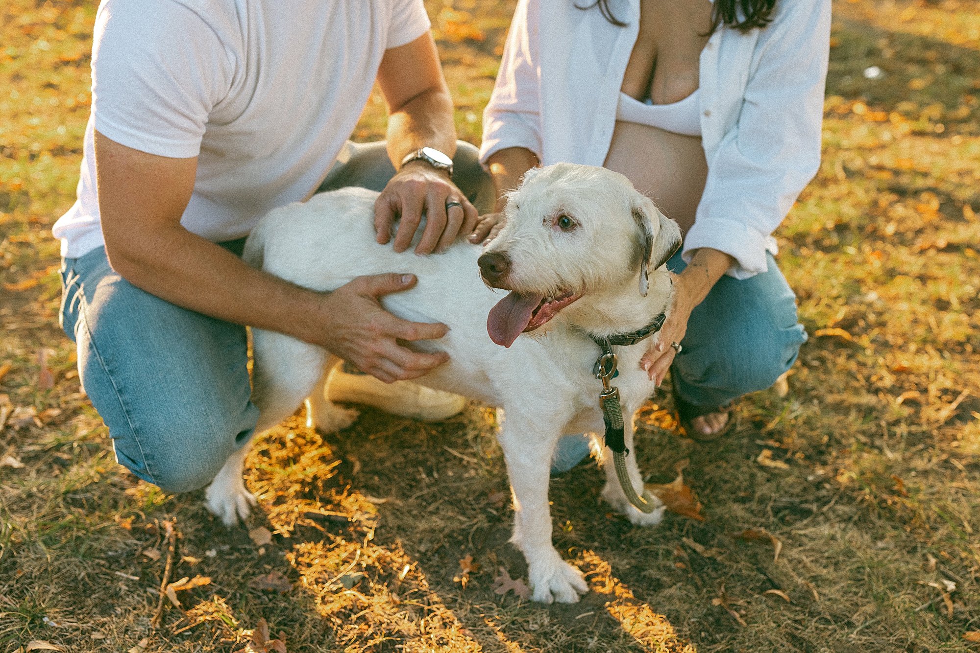 Photoshoot at Kensington Metropark