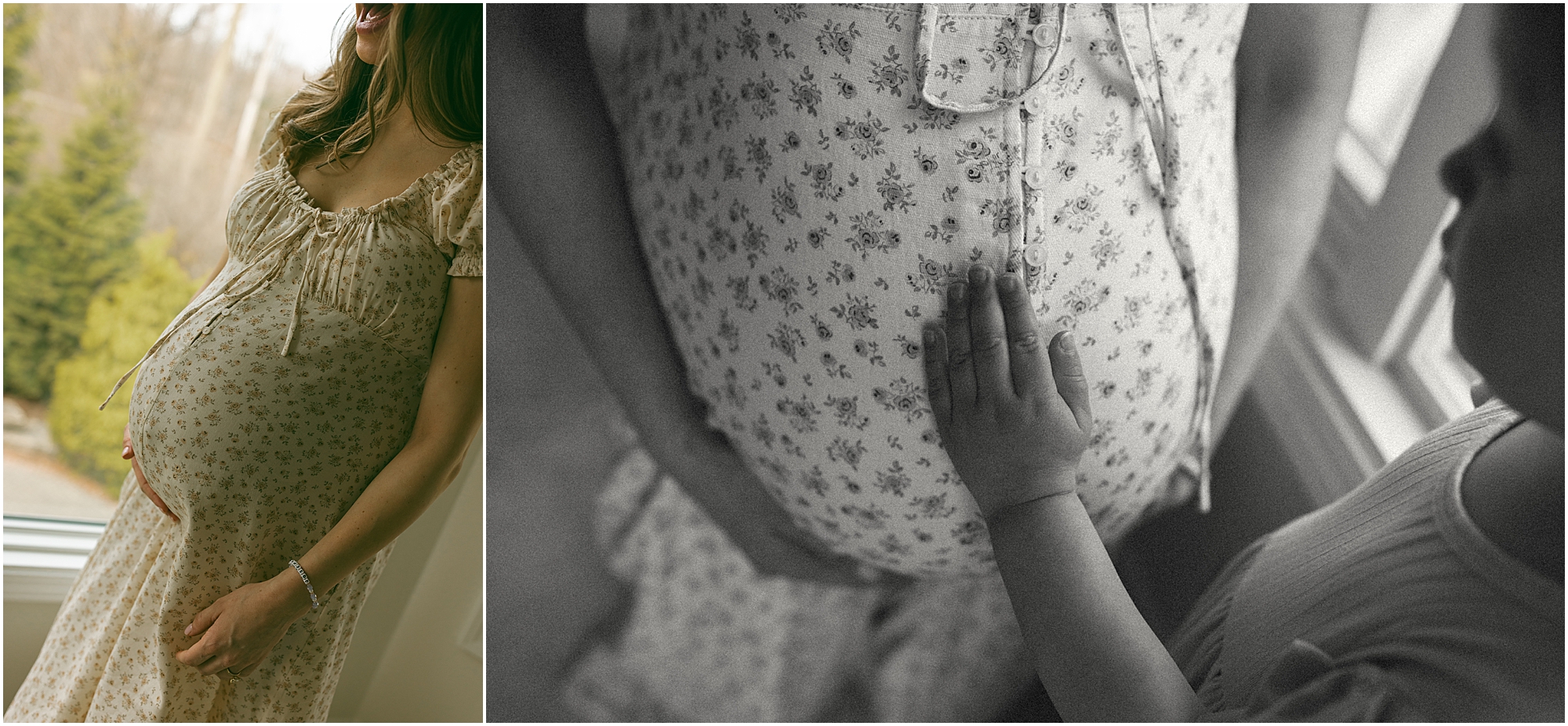 Brighton MI Maternity Photographer