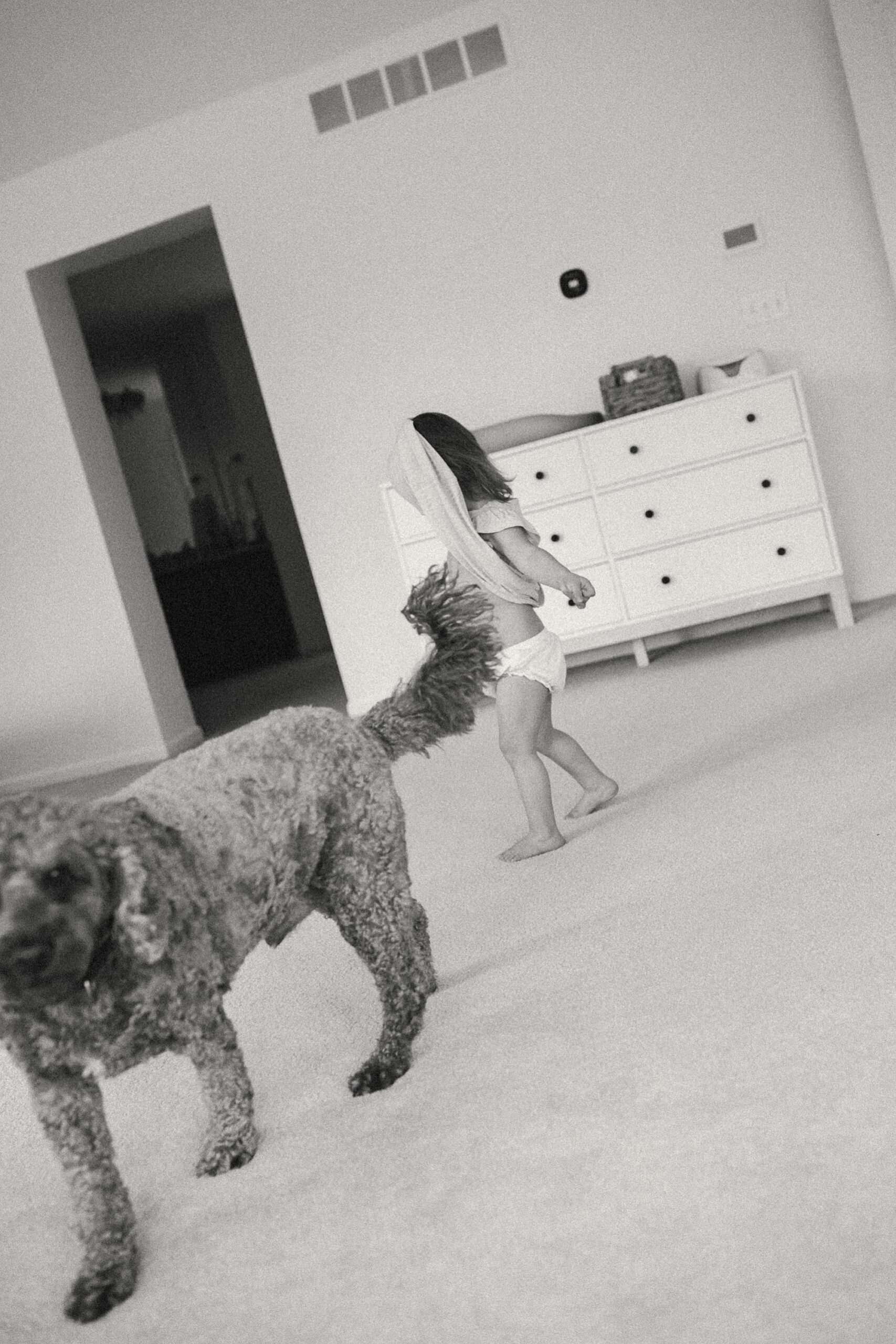 Family Photographer Fenton MI