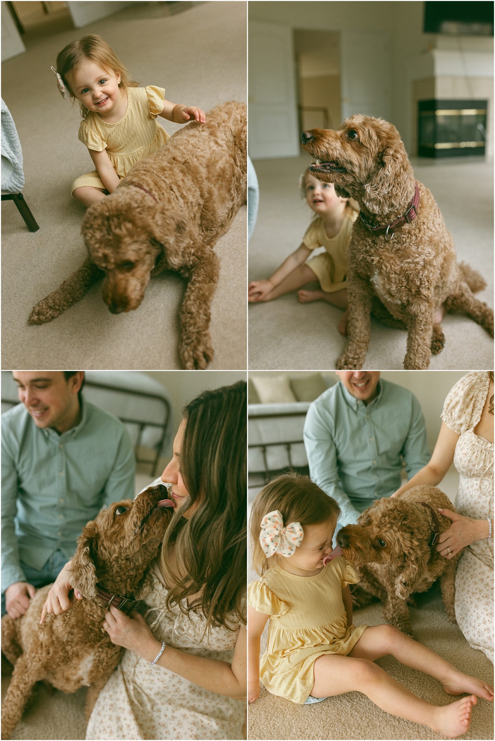 Family Photographer Milford MI