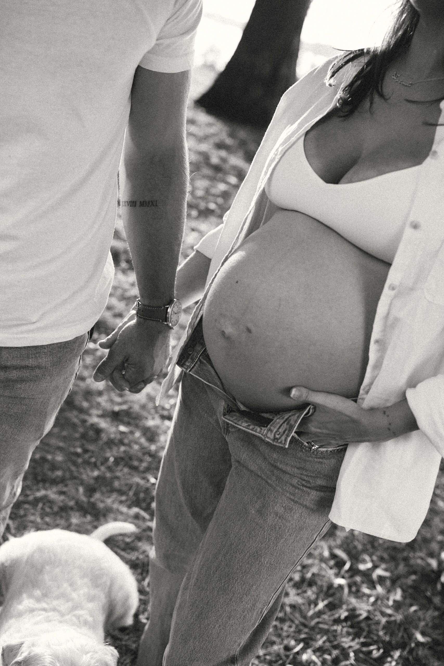 Brighton MI Maternity Photographer