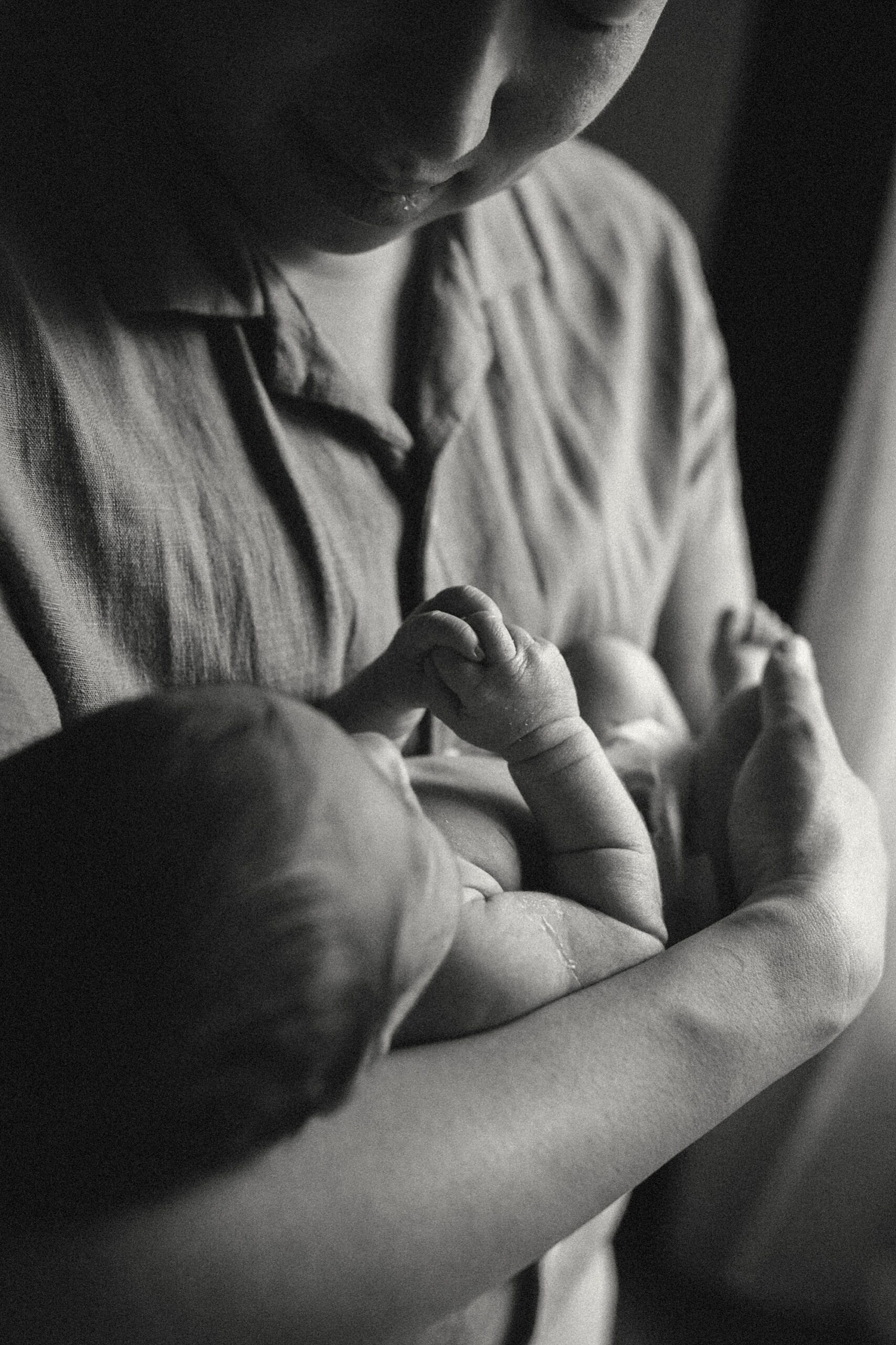 Fenton MI Newborn Photographer