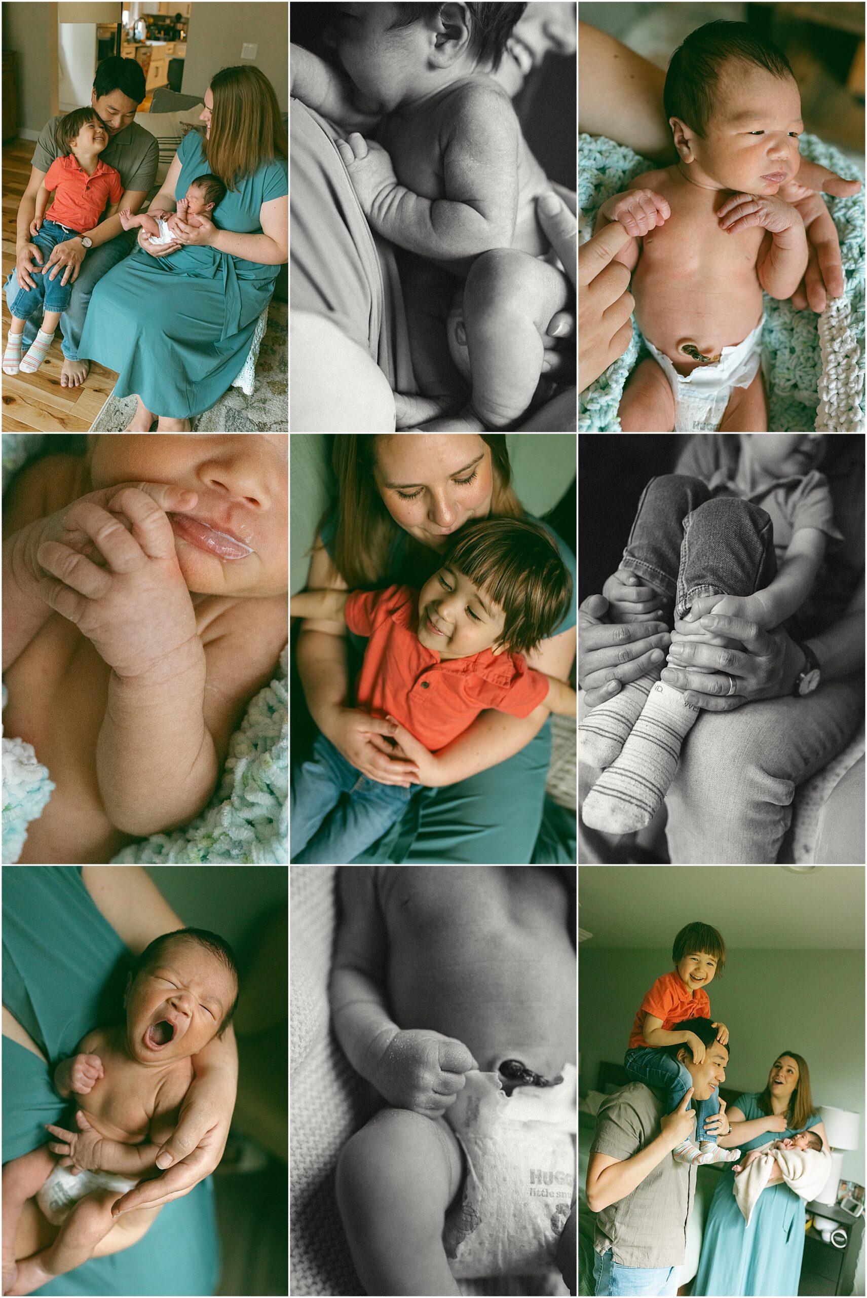 Livingston County Newborn Photographer