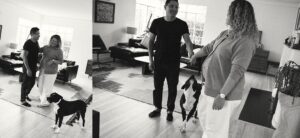 Maternity Photographer Detroit
