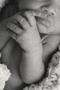 Metro Detroit Family + Newborn Photographer