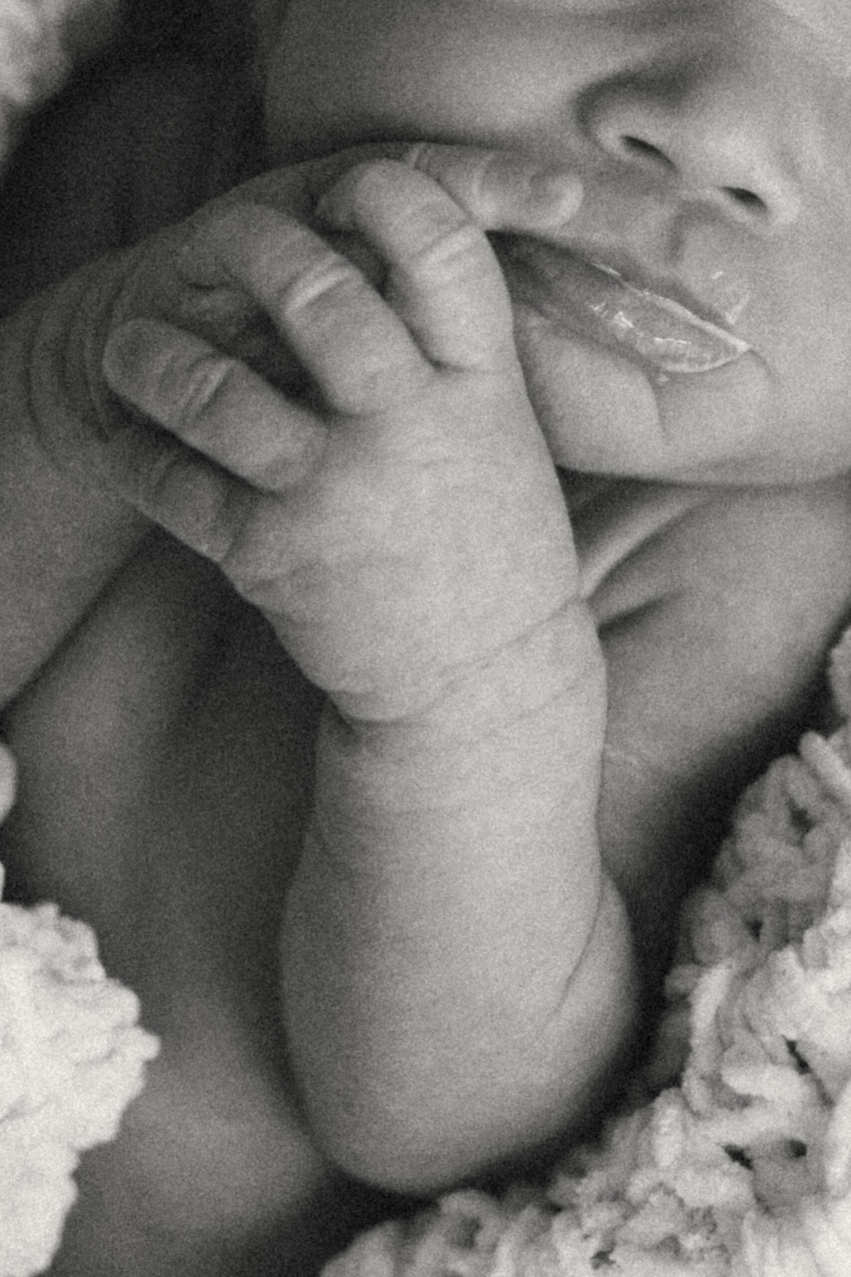 Metro Detroit Family + Newborn Photographer