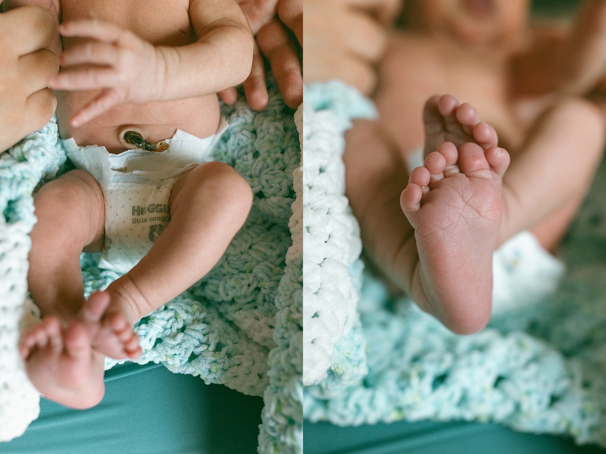 Oakland County Newborn Pictures