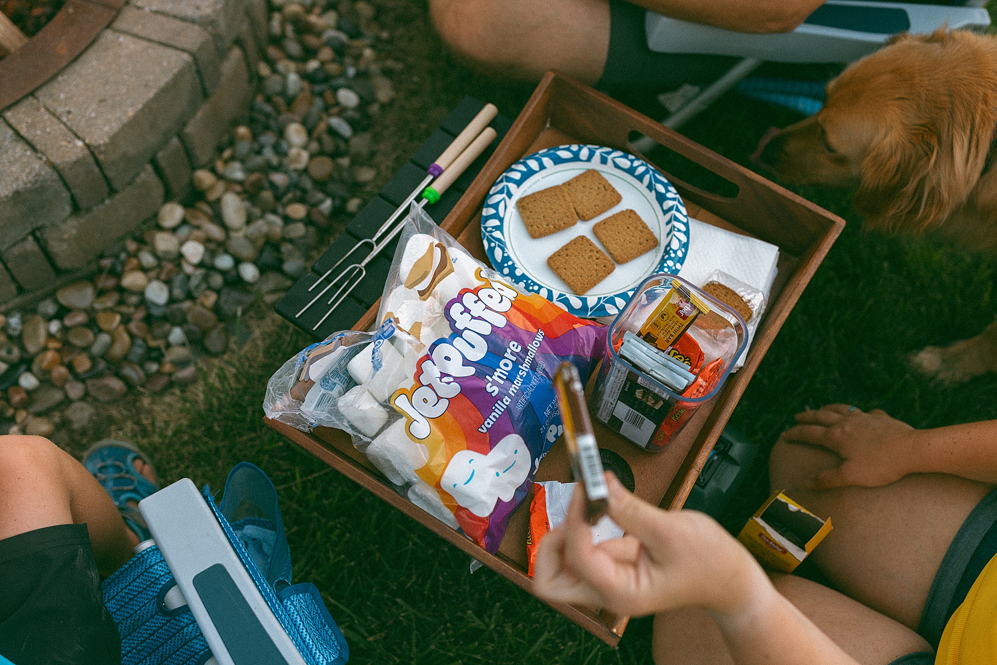 Smores Family Pictures MI
