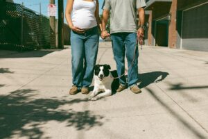 Casual Maternity Pictures Clarkston MI