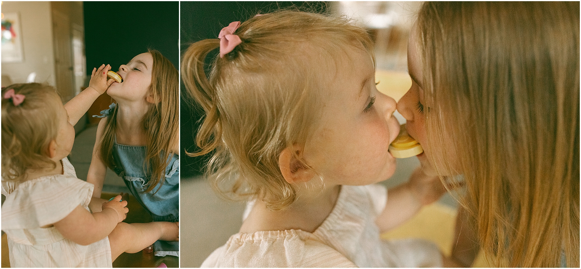 Fun Family Photos at Home Fenton MI
