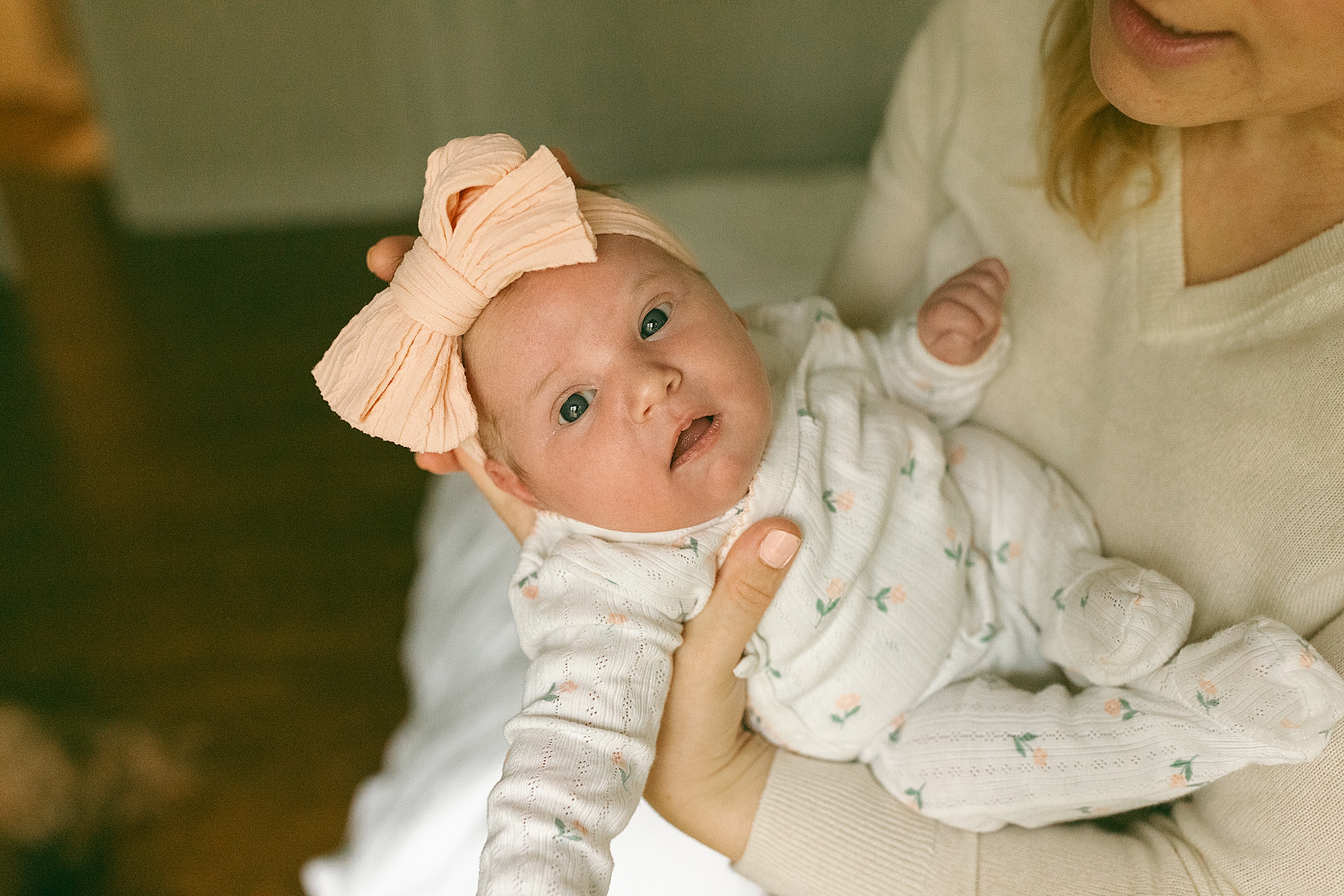 Holly MI Newborn Photos
