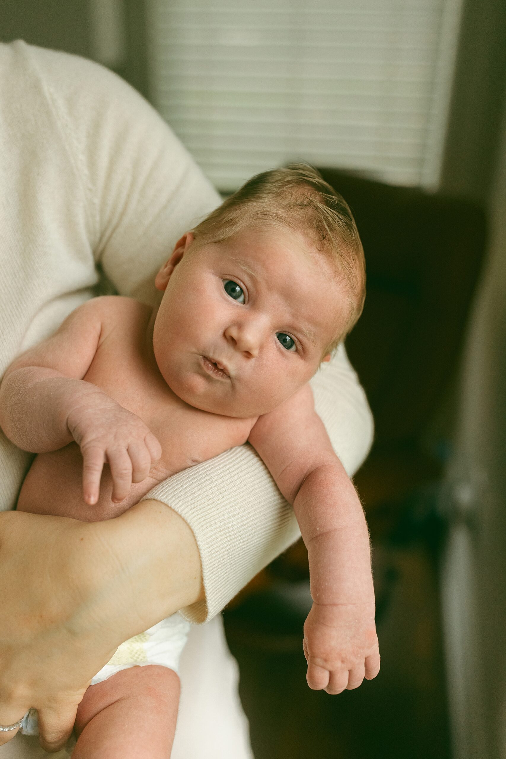 Metro Detroit Family + Newborn Photographer