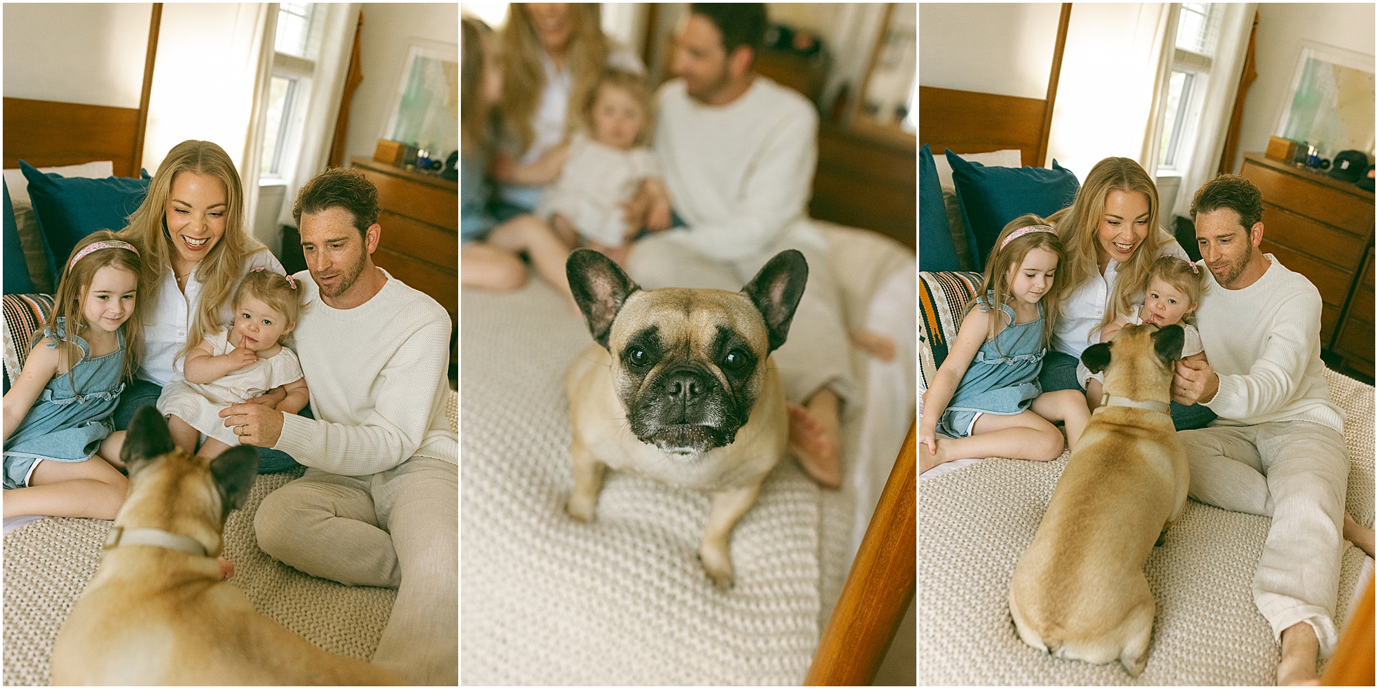 Royal Oak Family Photographer
